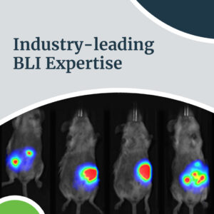 Pioneering BLI Research for 20+ Years